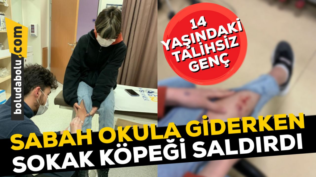 14 yaşındaki çocuğa okula giderken sokak köpeği saldırdı 14 yaşındaki çocuğa okula giderken sokak köpeği saldırdı