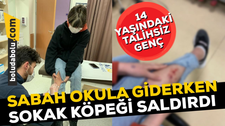14 yaşındaki çocuğa okula giderken sokak köpeği saldırdı