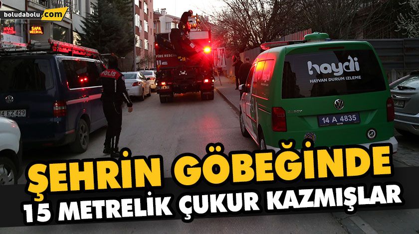 DEFİNECİLERİN KAZDIĞI ÇUKURA DÜŞEN KÖPEK KURTARILDI