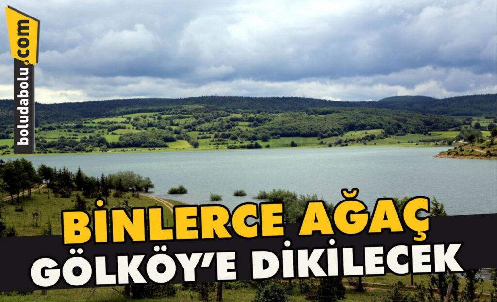 Binlerce ağaç Gölköy’e dikilecek Binlerce ağaç Gölköy’e dikilecek