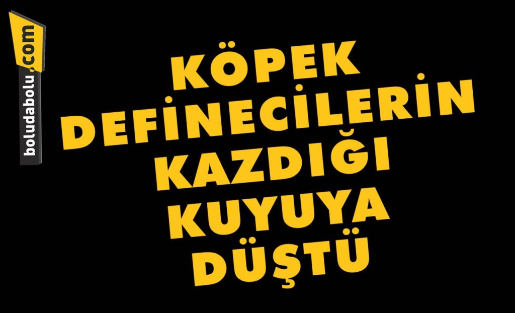 Köpek definecilerin kazdığı kuyuya düştü