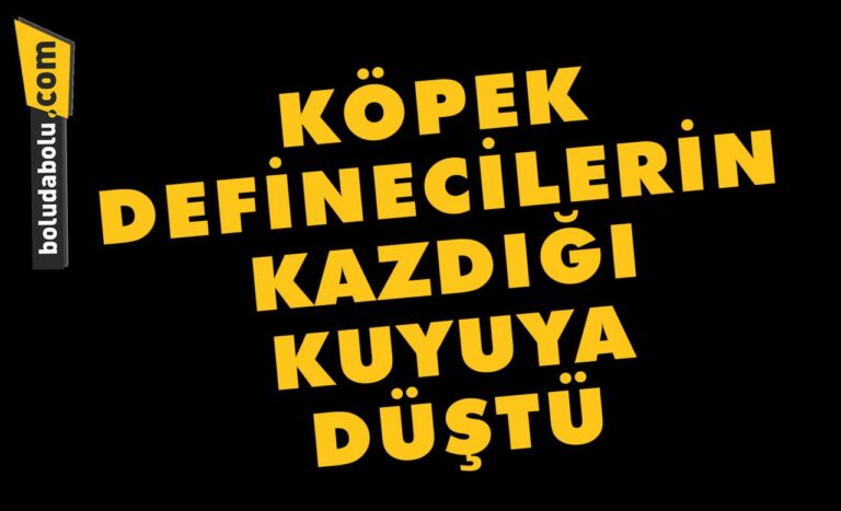 Köpek definecilerin kazdığı kuyuya düştü
