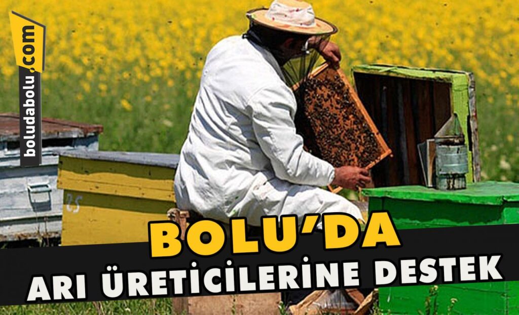 Bolu’da arı üreticilerine destek Bolu’da arı üreticilerine destek