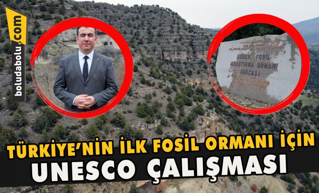 Türkiye’nin ilk fosil ormanı için UNESCO çalışması Türkiye’nin ilk fosil ormanı için UNESCO çalışması