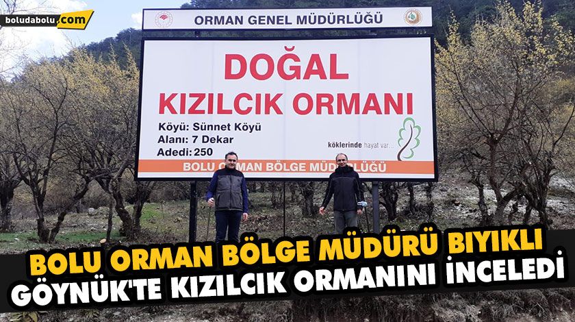 BOLU ORMAN BÖLGE MÜDÜRÜ BIYIKLI, GÖYNÜK’TE KIZILCIK ORMANINI İNCELEDİ BOLU ORMAN BÖLGE MÜDÜRÜ BIYIKLI, GÖYNÜK’TE KIZILCIK ORMANINI İNCELEDİ