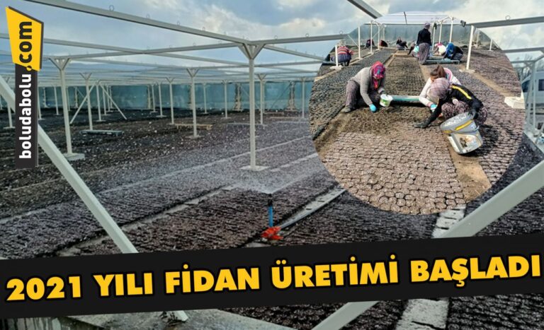 2021 Yılı fidan üretimi başladı
