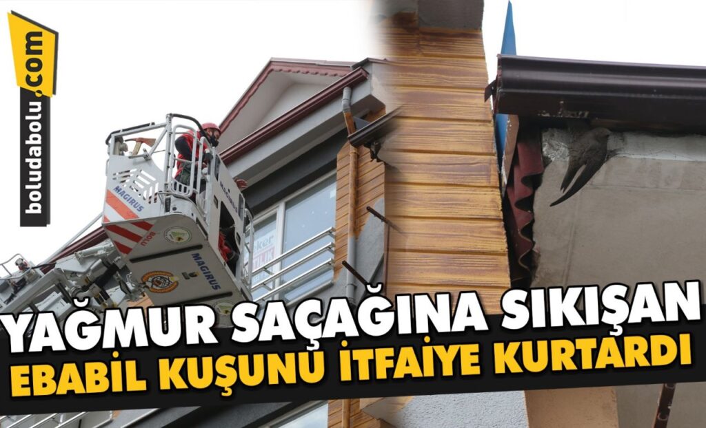 Çatıdaki yağmur saçağına sıkışan ebabil kuşunu itfaiye kurtardı Çatıdaki yağmur saçağına sıkışan ebabil kuşunu itfaiye kurtardı