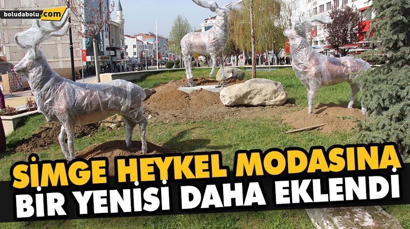 AYI MI GEYİK Mİ DERKEN GEYİKLER GÖRÜCÜYE ÇIKTI