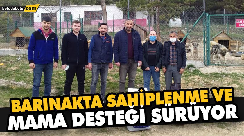 BARINAKTA SAHİPLENME VE MAMA DESTEĞİ SÜRÜYOR BARINAKTA SAHİPLENME VE MAMA DESTEĞİ SÜRÜYOR