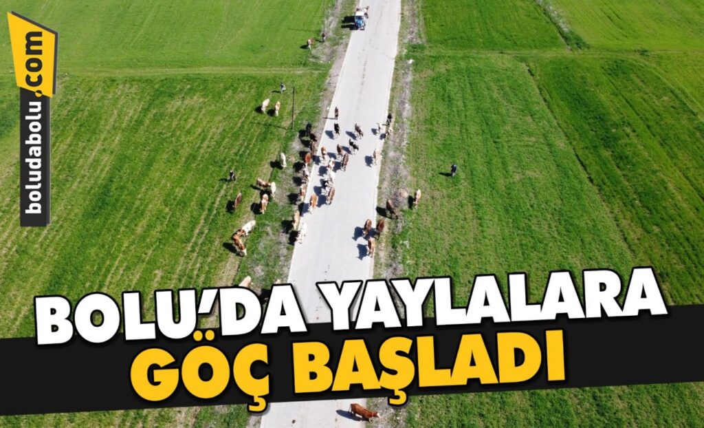 Bolu’da yaylalara “göç” başladı Bolu’da yaylalara “göç” başladı