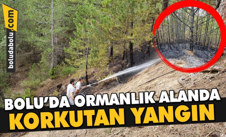 Bolu’da ormanlık alanda çıkan yangın söndürüldü
