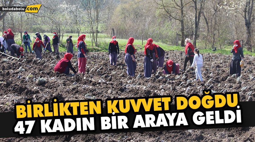 GİRİŞİMCİLİK VE İSTİHDAMIN ANAHTARI KADINLAR GİRİŞİMCİLİK VE İSTİHDAMIN ANAHTARI KADINLAR