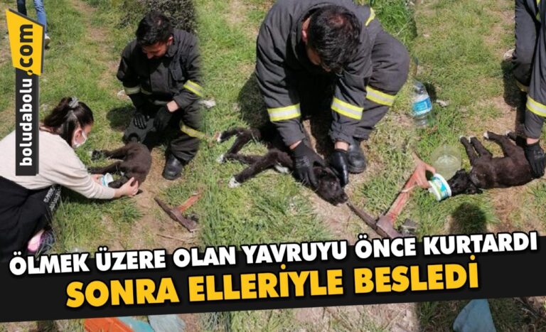 BOLU’DA YAVRU KÖPEK SON ANDA KURTARILDI
