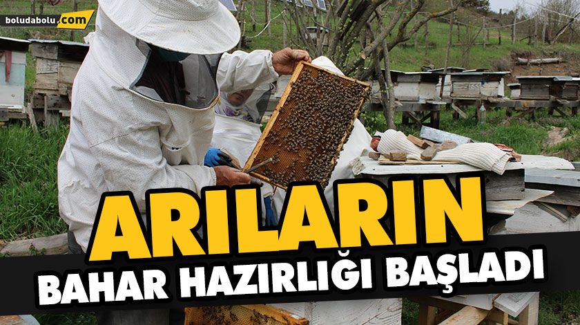 ARILARIN BAHAR HAZIRLIĞI BAŞLADI ARILARIN BAHAR HAZIRLIĞI BAŞLADI