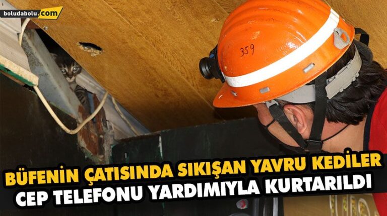 BÜFENİN ÇATISINDA SIKIŞAN YAVRU KEDİLER CEP TELEFONU YARDIMIYLA KURTARILDI