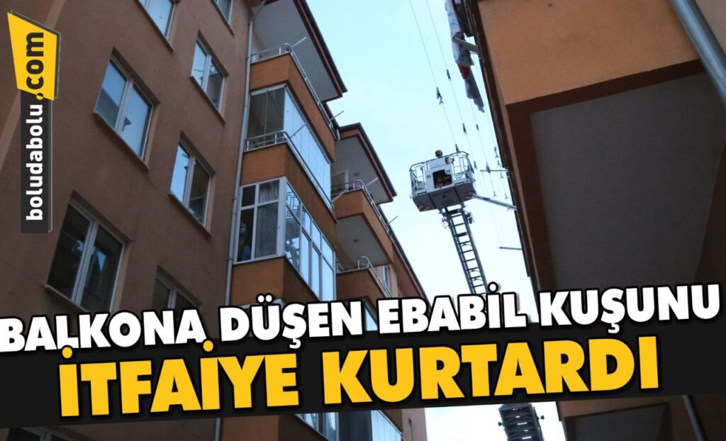 Bolu’da balkona düşen ebabil kuşunu itfaiye kurtardı Bolu’da balkona düşen ebabil kuşunu itfaiye kurtardı