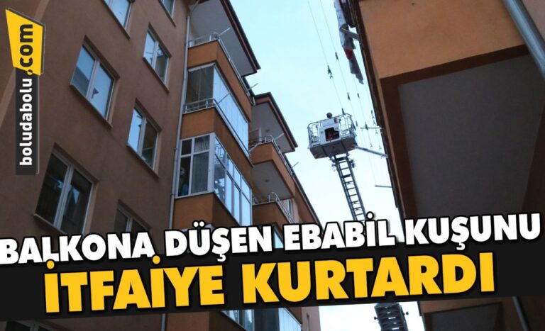 Bolu’da balkona düşen ebabil kuşunu itfaiye kurtardı