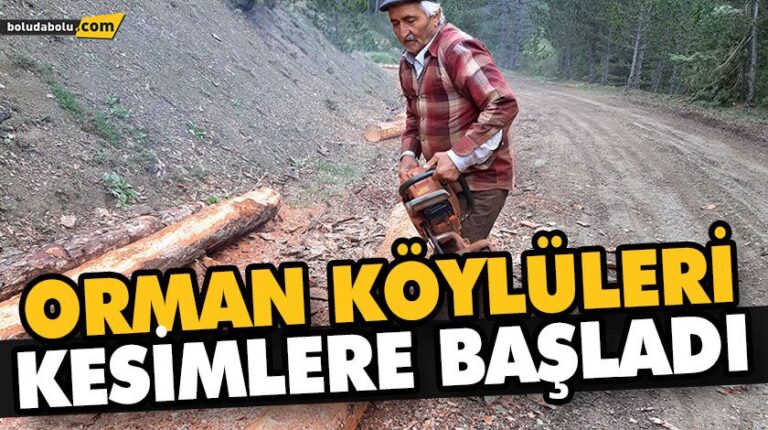 ORMAN KÖYLÜLERİ KESİMLERE BAŞLADI