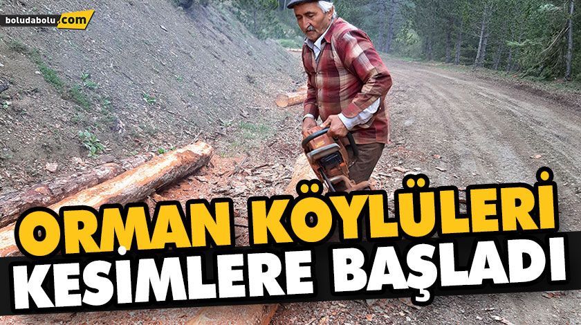 ORMAN KÖYLÜLERİ KESİMLERE BAŞLADI