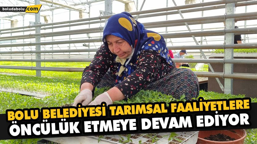 BOLU BELEDİYESİ TARIMSAL FAALİYETLERE ÖNCÜLÜK ETMEYE DEVAM EDİYOR BOLU BELEDİYESİ TARIMSAL FAALİYETLERE ÖNCÜLÜK ETMEYE DEVAM EDİYOR