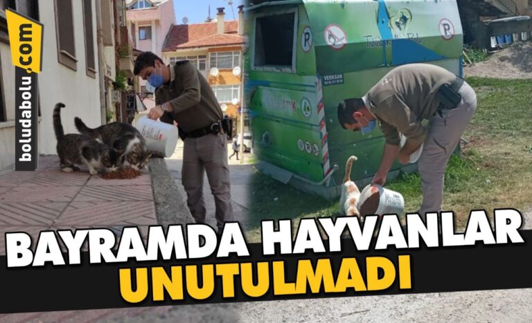 BAYRAMDA HAYVANLAR UNUTULMADI
