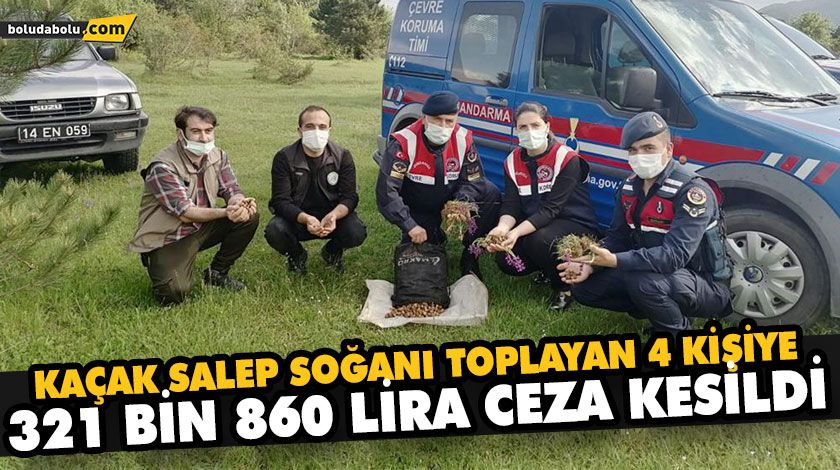 KAÇAK SALEP SOĞANI TOPLAYAN 4 KİŞİYE 321 BİN 860 LİRA CEZA KESİLDİ KAÇAK SALEP SOĞANI TOPLAYAN 4 KİŞİYE 321 BİN 860 LİRA CEZA KESİLDİ