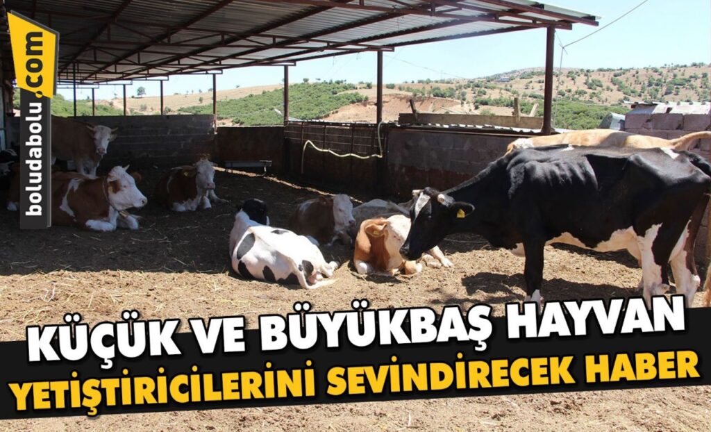 KÜÇÜK VE BÜYÜKBAŞ HAYVAN YETİŞTİRİCİLERİNE DESTEK VERİLECEK KÜÇÜK VE BÜYÜKBAŞ HAYVAN YETİŞTİRİCİLERİNE DESTEK VERİLECEK