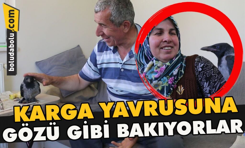 Karga yavrusuna gözü gibi bakıyorlar Karga yavrusuna gözü gibi bakıyorlar