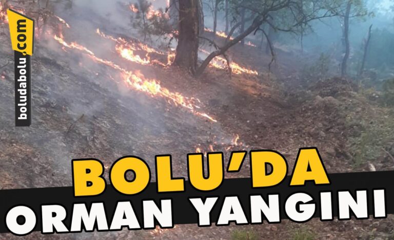 Bolu’da orman yangını