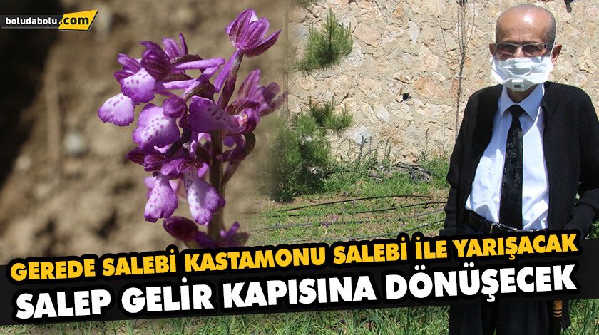 GEREDE SALEBİ KASTAMONU SALEBİ İLE YARIŞACAK GEREDE SALEBİ KASTAMONU SALEBİ İLE YARIŞACAK