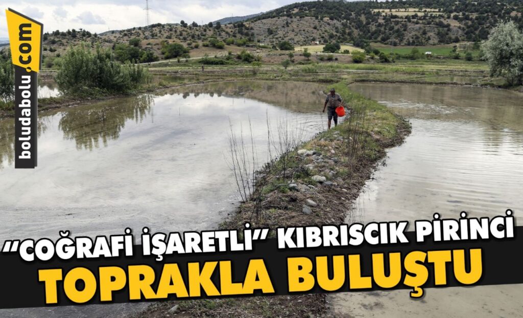 “COĞRAFİ İŞARETLİ” KIBRISCIK PİRİNCİ TOPRAKLA BULUŞTU “COĞRAFİ İŞARETLİ” KIBRISCIK PİRİNCİ TOPRAKLA BULUŞTU
