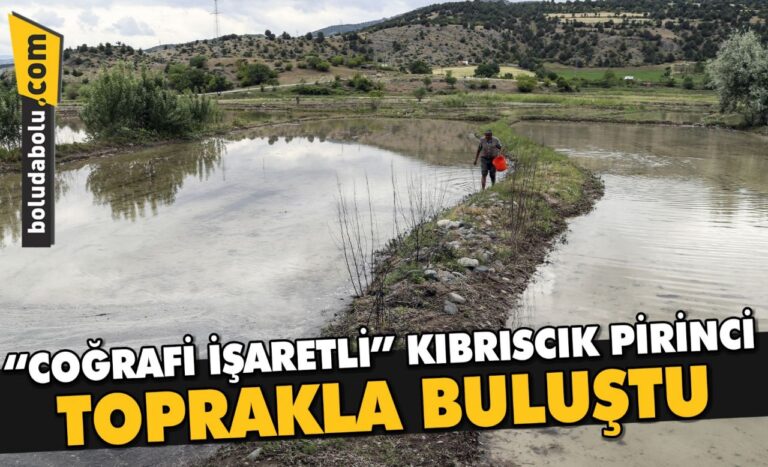“COĞRAFİ İŞARETLİ” KIBRISCIK PİRİNCİ TOPRAKLA BULUŞTU