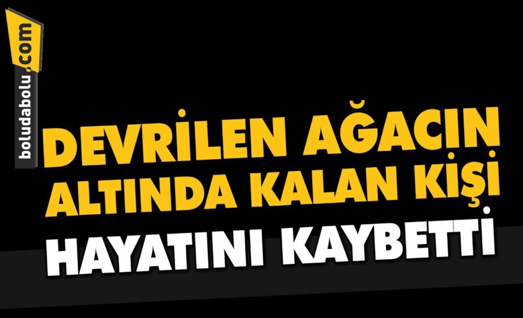 Bolu’da devrilen ağacın altında kalan kişi hayatını kaybetti Bolu’da devrilen ağacın altında kalan kişi hayatını kaybetti