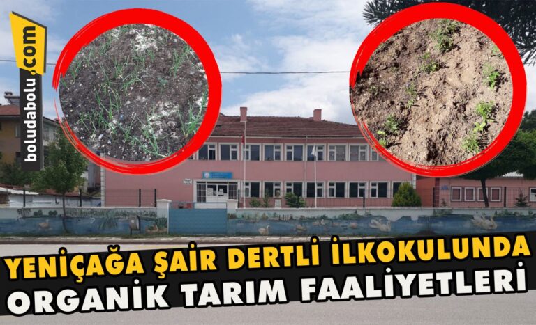 Yeniçağa Şair Dertli İlkokulunda organik tarım faaliyetleri