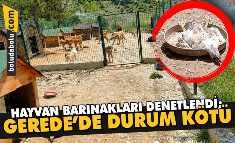 HAYVAN BARINAKLARI DENETLENDİ; GEREDE’DE DURUM KÖTÜ