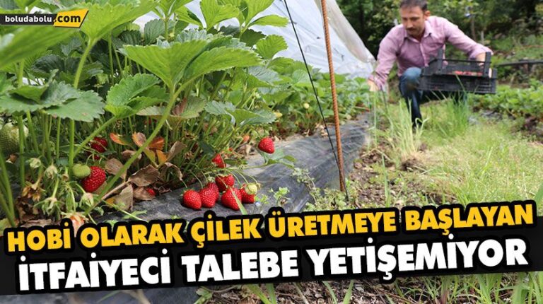 HOBİ OLARAK ÇİLEK ÜRETMEYE BAŞLAYAN İTFAİYECİ TALEBE YETİŞEMİYOR