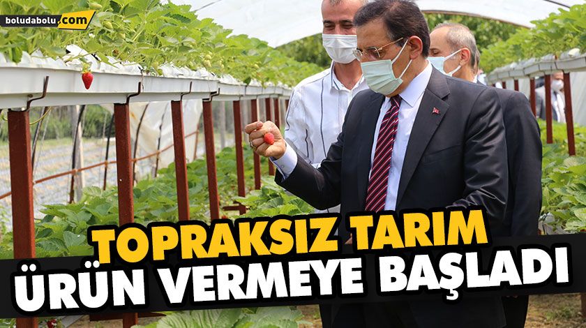 TOPRAKSIZ TARIM ÜRÜN VERMEYE BAŞLADI TOPRAKSIZ TARIM ÜRÜN VERMEYE BAŞLADI