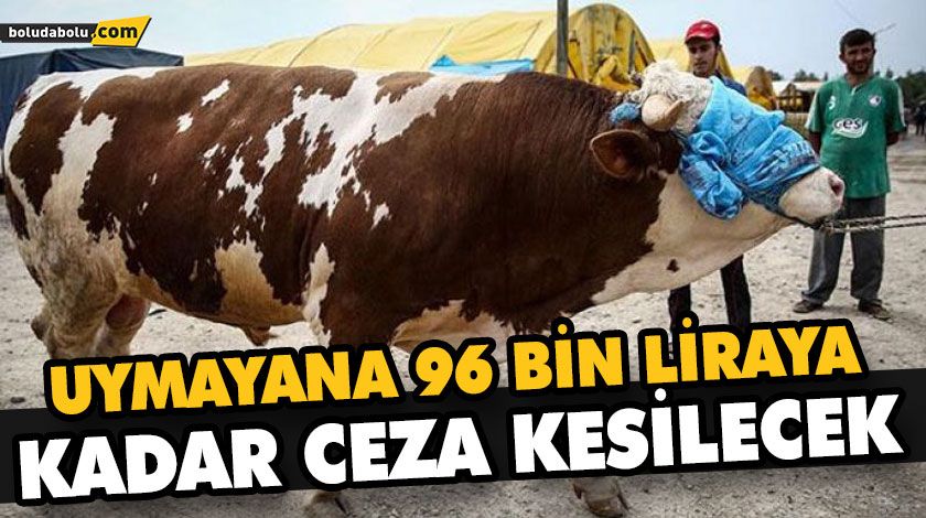 KURBAN SATIŞ VE KESİMİNE İLİŞKİN KURALLAR BELİRLENDİ KURBAN SATIŞ VE KESİMİNE İLİŞKİN KURALLAR BELİRLENDİ
