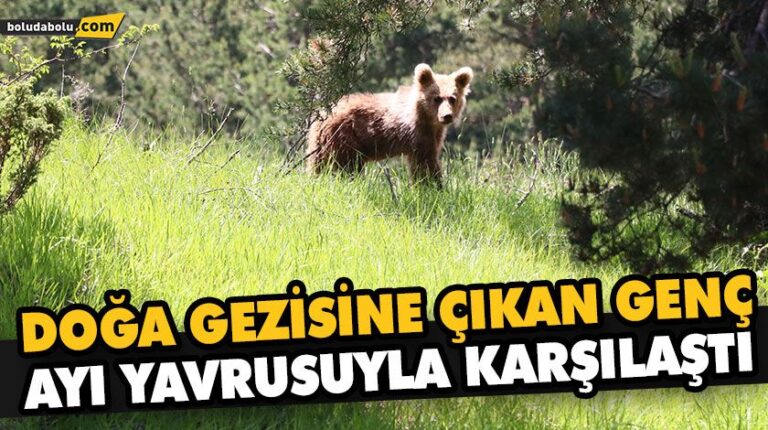DOĞA GEZİSİNE ÇIKAN GENÇ, AYI YAVRUSUYLA KARŞILAŞTI
