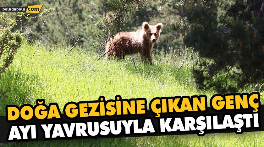 DOĞA GEZİSİNE ÇIKAN GENÇ, AYI YAVRUSUYLA KARŞILAŞTI DOĞA GEZİSİNE ÇIKAN GENÇ, AYI YAVRUSUYLA KARŞILAŞTI