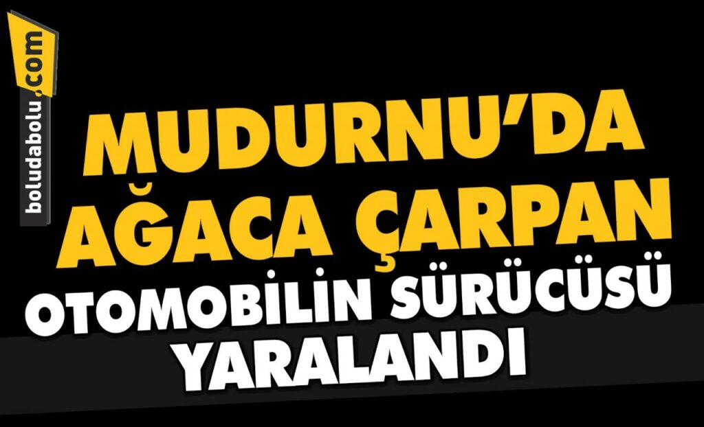 Mudurnu’da ağaca çarpan otomobilin sürücüsü yaralandı Mudurnu’da ağaca çarpan otomobilin sürücüsü yaralandı