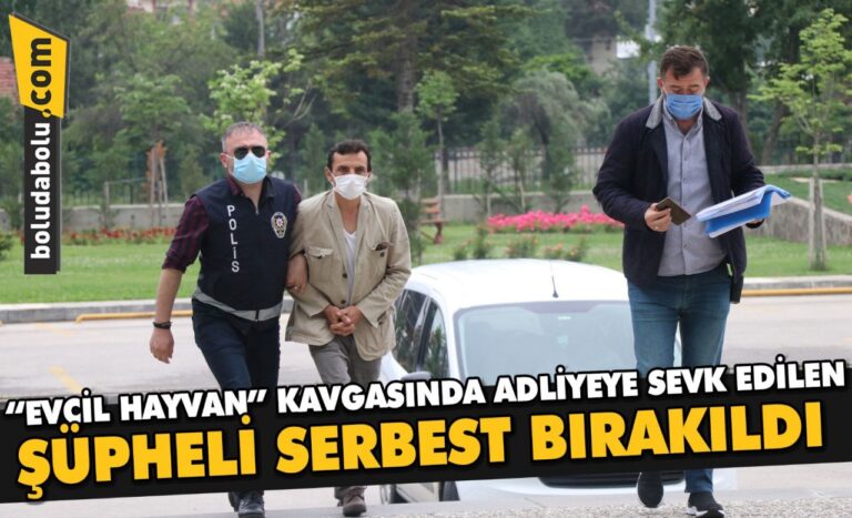 Bolu’da komşular arasındaki “evcil hayvan” kavgasında adliyeye sevk edilen şüpheli serbest bırakıldı