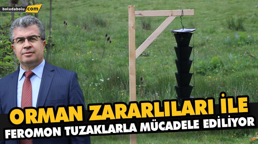 ORMAN ZARARLILARI İLE FEROMON TUZAKLARLA MÜCADELE EDİLİYOR ORMAN ZARARLILARI İLE FEROMON TUZAKLARLA MÜCADELE EDİLİYOR