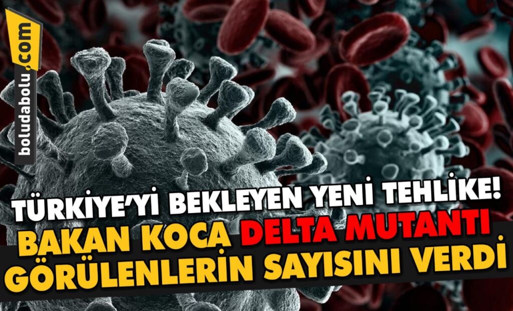 Rusya’da etkili olan Delta mutasyonu Türkiye’de 77 kişide görüldü Rusya’da etkili olan Delta mutasyonu Türkiye’de 77 kişide görüldü