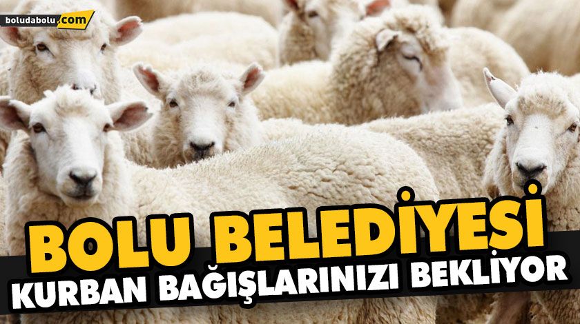 BOLU BELEDİYESİ KURBAN BAĞIŞLARINIZI BEKLİYOR BOLU BELEDİYESİ KURBAN BAĞIŞLARINIZI BEKLİYOR