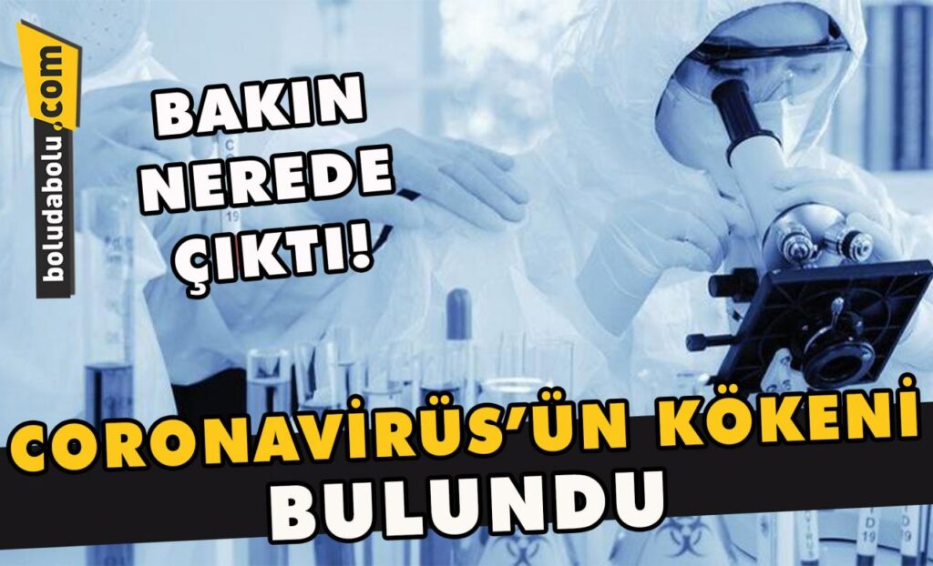 Coronavirüs’ün kökeni bulundu Coronavirüs’ün kökeni bulundu