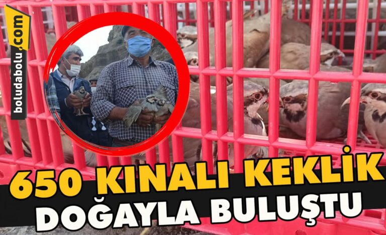 650 Kınalı keklik doğayla buluştu