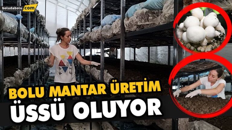 BOLU MANTAR ÜRETİM ÜSSÜ OLUYOR
