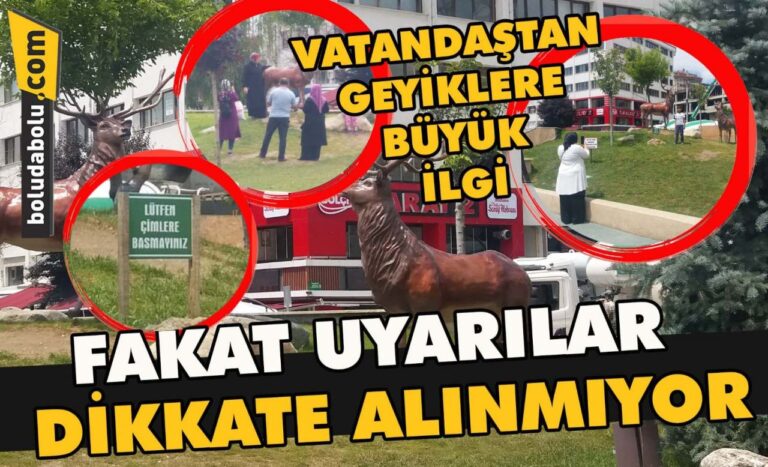 Uyarılar dikkate alınmıyor