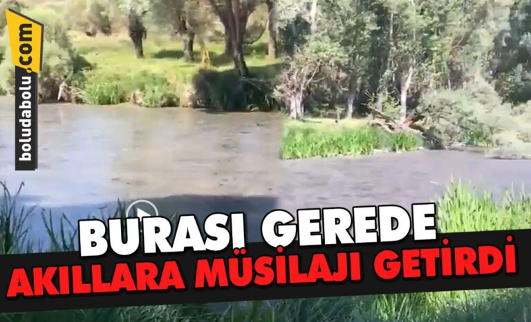 DOĞANIN ORTASINDAKİ DERENİN ÜSTÜ PİSLİKLE KAPLANDI